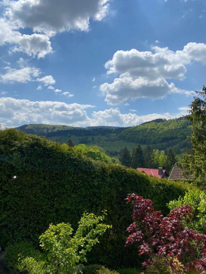 Villa Hills Hut Langelsheim Exterior foto